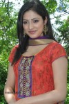 Haripriya New Photos - 6 of 31