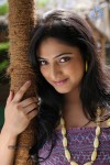 Haripriya New Photos - 50 of 77