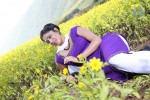 Haripriya New Pics - 46 of 77