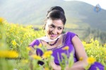 Haripriya New Pics - 66 of 77