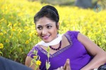 Haripriya New Pics - 77 of 77