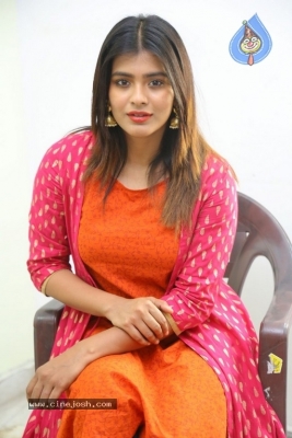 Hebah Patel Interview Photos - 17 of 17