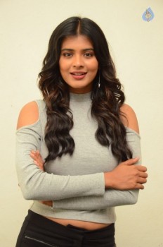 Hebah Patel New Photos - 4 of 42