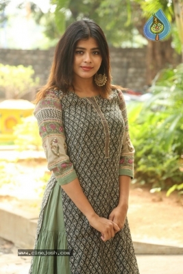 Hebah Patel New Photos - 3 of 30