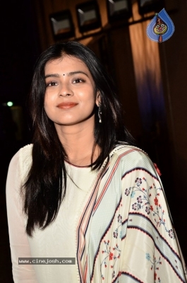 Hebah Patel Photos - 15 of 31