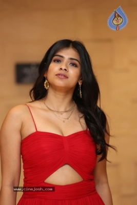 Hebah Patel Photos - 6 of 14