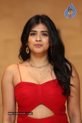 Hebah Patel Photos - 9 of 14