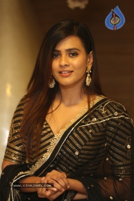 Hebah Patel Photos - 3 of 19