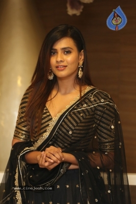 Hebah Patel Photos - 11 of 19