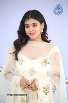 Hebah Patel Pictures - 4 of 21