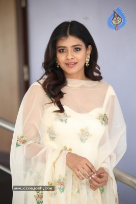 Hebah Patel Pictures - 11 of 21