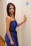 Henna Chopra Hot Photos - 20 of 59