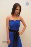 Henna Chopra Hot Photos - 49 of 59