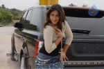 Ileana Latest Stills - 8 of 48