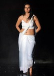 Isha Chawla Gallery - 12 of 20