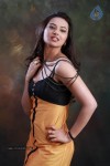 Isha Chawla Hot Photo Shoot - 9 of 89