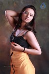 Isha Chawla Hot Photo Shoot - 14 of 89