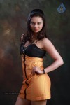 Isha Chawla Hot Photo Shoot - 17 of 89