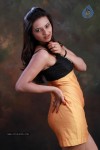 Isha Chawla Hot Photo Shoot - 41 of 89