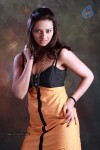 Isha Chawla Hot Photo Shoot - 47 of 89