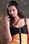 Isha Chawla Hot Photo Shoot - 55 of 89