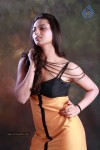 Isha Chawla Hot Photo Shoot - 59 of 89