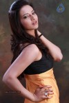Isha Chawla Hot Photo Shoot - 61 of 89