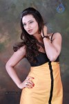 Isha Chawla Hot Photo Shoot - 68 of 89