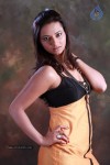 Isha Chawla Hot Photo Shoot - 73 of 89