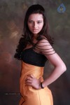 Isha Chawla Hot Photo Shoot - 74 of 89