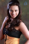 Isha Chawla Hot Photo Shoot - 77 of 89