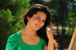 Isha Chawla New Photos - 6 of 75