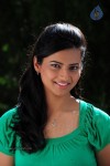 Isha Chawla New Photos - 13 of 75