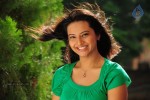 Isha Chawla New Photos - 15 of 75