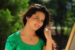 Isha Chawla New Photos - 21 of 75