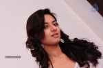 Isha Chawla New Pics - 56 of 87