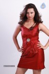 Isha Chawla Photo Shoot - 14 of 69