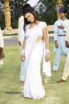 Juhi Hot Stills - 20 of 46