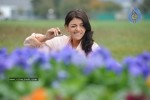 Kajal Agarwal - Darling - 12 of 43