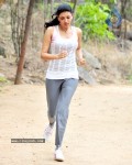 Kajal Agarwal New Gallery - 6 of 35