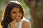 Kajal Agarwal New Stills - 42 of 61