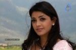 Kajal Agarwal New Stills - 24 of 41