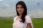 Kajal Agarwal New Stills - 41 of 41