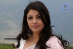 Kajal Agarwal New Stills - 22 of 41