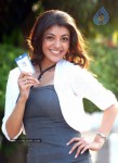 Kajal Agarwal Photo Stills - 9 of 44