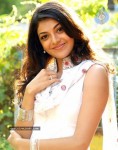 Kajal Agarwal Photo Stills - 20 of 44