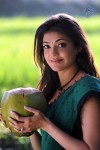 Kajal Agarwal Stills in Mr. Perfect Movie - 68 of 85