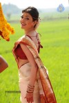 Kajal Agarwal Stills in Mr. Perfect Movie - 40 of 85