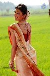 Kajal Agarwal Stills in Mr. Perfect Movie - 66 of 85