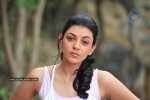 Kajal Photos - 53 of 60